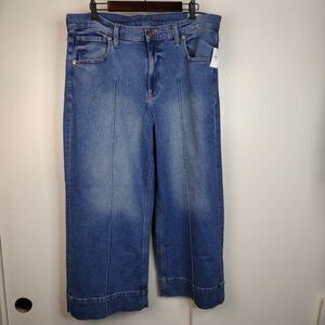 NEW Gap High Rise Stride Ankle Wide Leg Jeans Womens Plus Size 34 18 Blue NWT